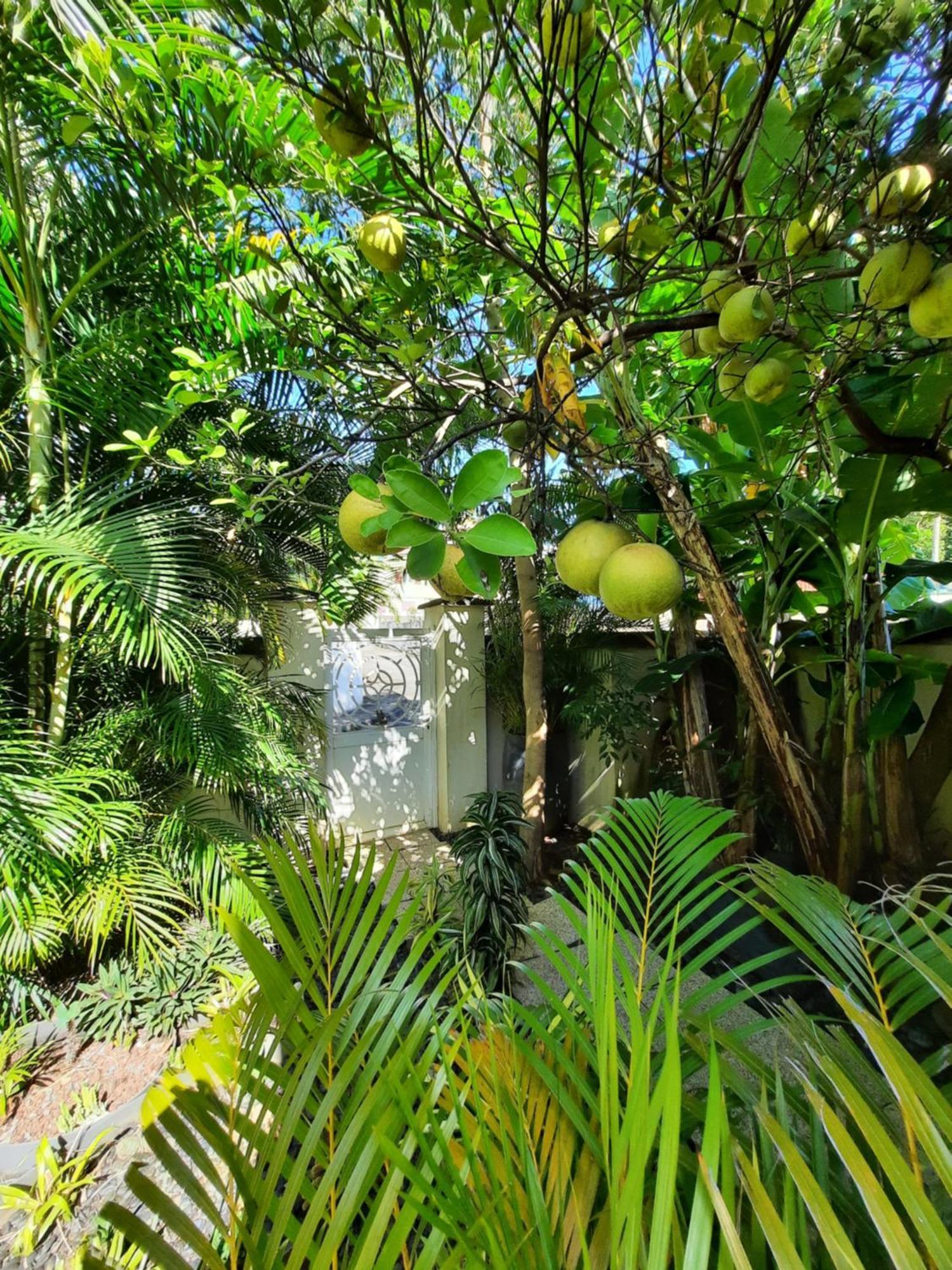 Jolie Maisonnette, Piscine, Jacuzzi Sainte-Suzanne Exterior photo